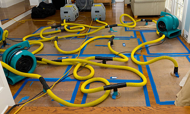 Professional Structural Drying And Dehumidification technician working in Lake Park, IA